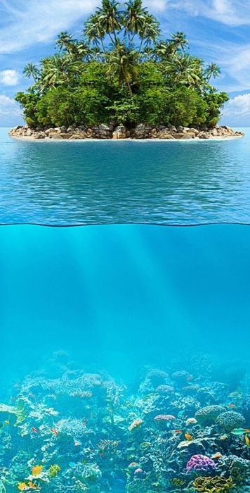 Оптовая доставка воды 19л