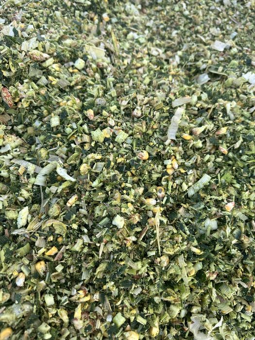 Baloti Siloz Porumb 2025