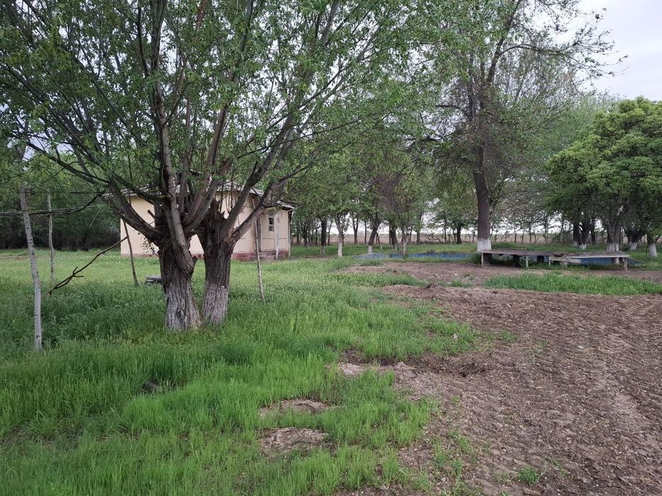 Oqoltin tumanida sotuvdagi yer