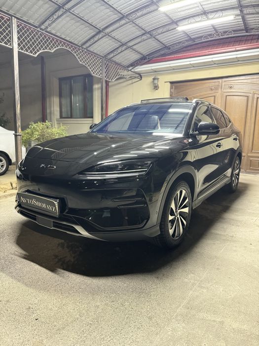BYD chempion 605