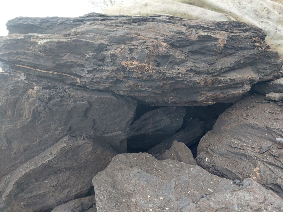 Carbuni pt toate tipurile de centrale șeminee și sobe