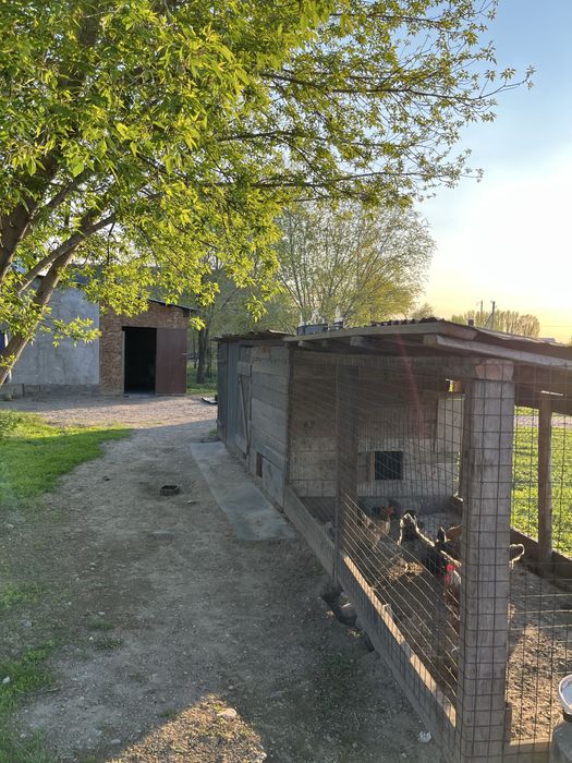 Продам дом в селе Рахат