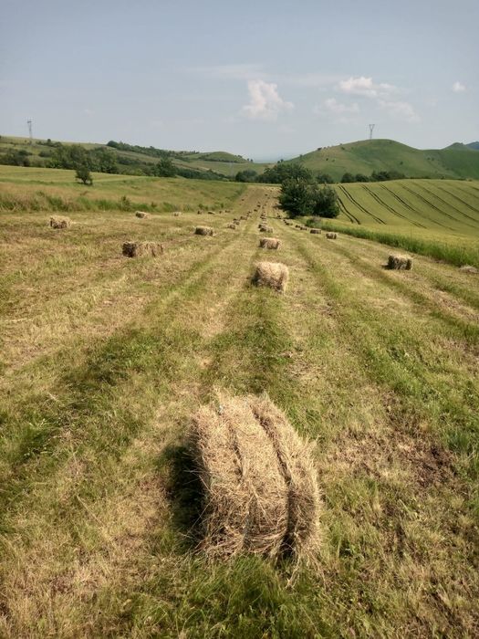 Vând baloți de fân
