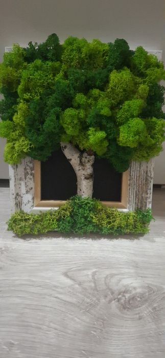 Дървото на живота от скандинавски мъх различни размери в рамка