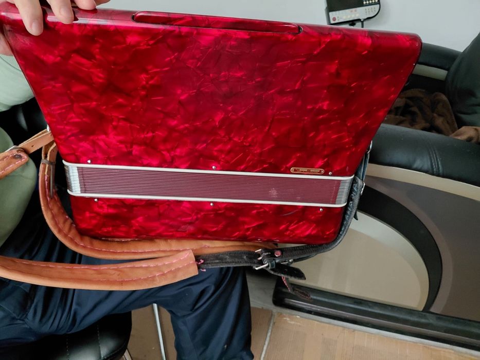 Vand Acordeon Parrot gama profesionala