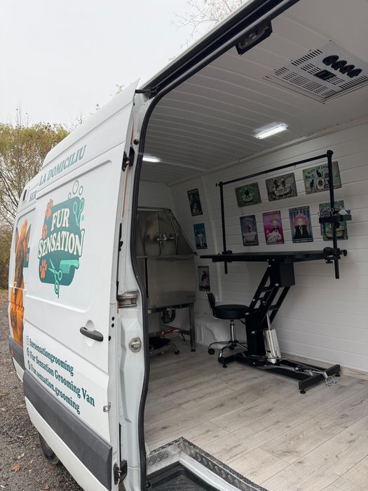 Frizerie canină si felină la domiciliu tau