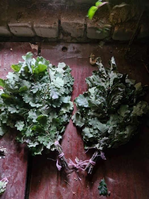 Продам берёзовые и дубовые  веники