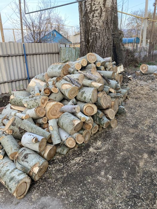 Продам дрова серебряк