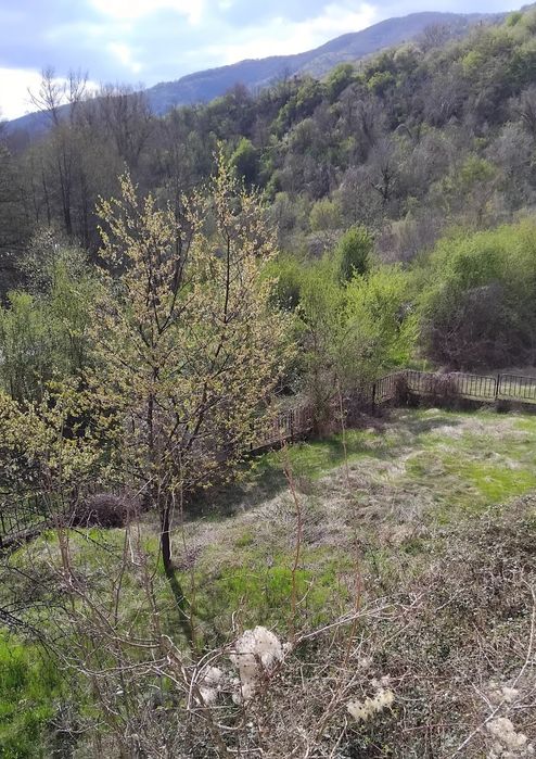 Продава се Къща в с. Пастух, Област Кюстендил - 360 кв.м за 255 €/кв.м - Снимка #6