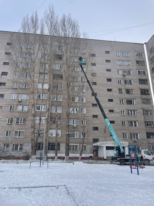 Спил и обрезка деревьев