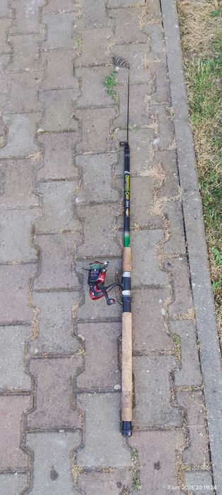 lansete pescuit somn si crap