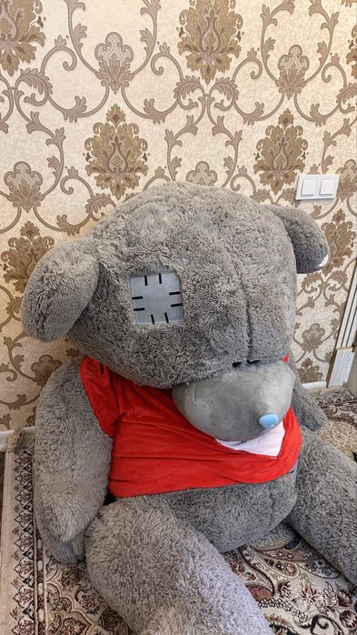 Katta teddy ayiq