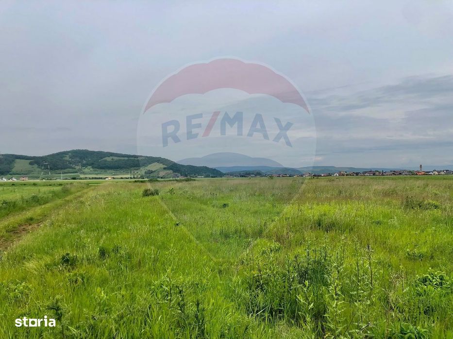 Comision 0% | 4 Parcele 538mp | Harman, Strada MIHAIL SADOVEANU