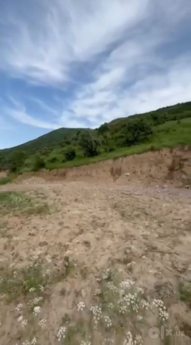 Бустанликский район 8 соток. Коронкул