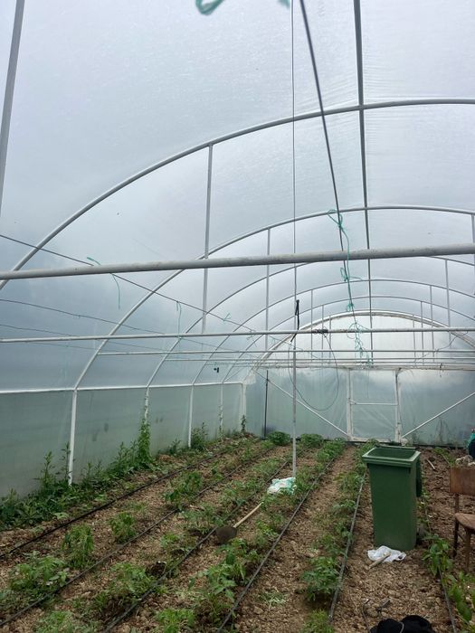 Solarii ieftine profesionale