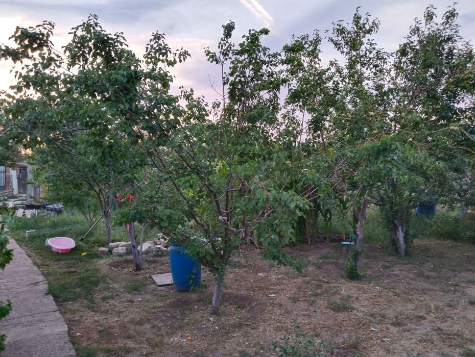 Продам дом 12 соток