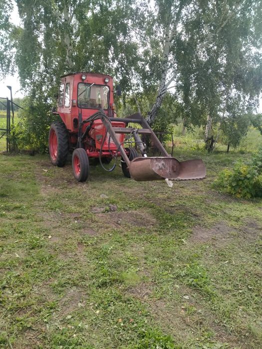 Продам Трактор т25