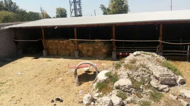 Не жилой жой сотилади йанги йулда реально оладигонла тел килсин