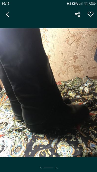 Высокие сапоги Basconi зима