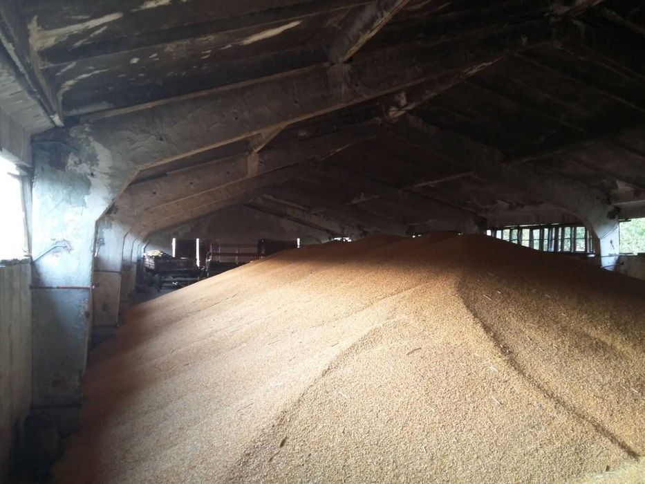 Продава се Склад в с. Нова Черна, Област Силистра - 975 кв.м за 105 €/кв.м - Снимка #1