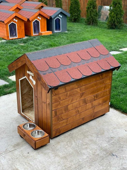 Cusca de caine izolata premium