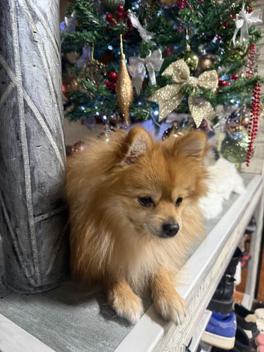 Придлогается к вязке