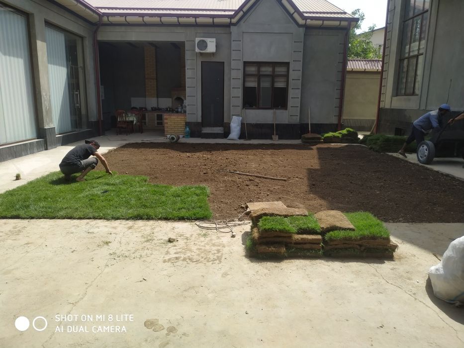 ландшафт дизайн. gazon daraxt gul ekamiz