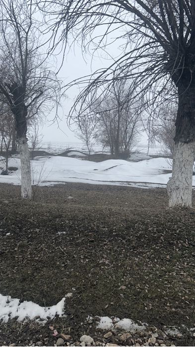 Коммерциялық 2 жер сатылымда!!!