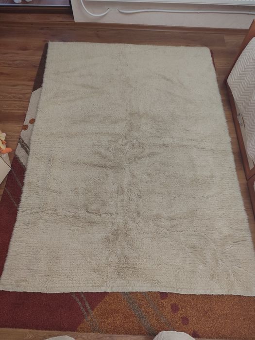 Запазен вълнен китеник