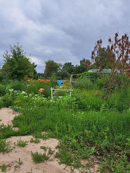 Продам дачу с.о Черёмушки