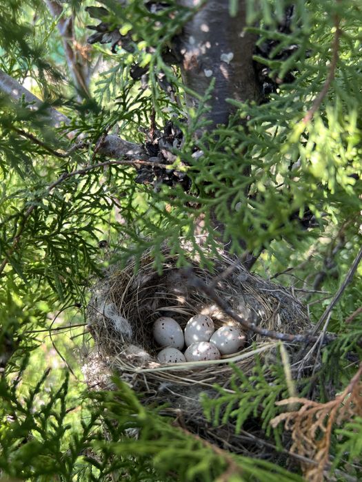 Продава се Заведение в с. Баня, Област Бургас - 1 кв.м за 500000 €/кв.м - Снимка #2