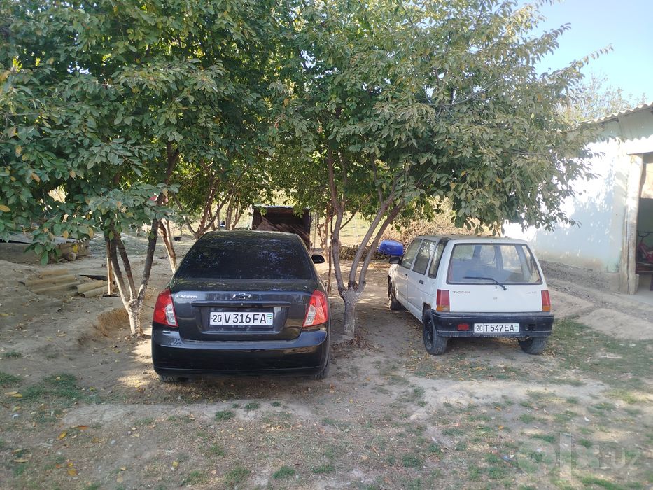 Shiviralet Lasetti jentira sotiladi