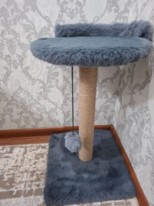 Продаю котенка сиамский