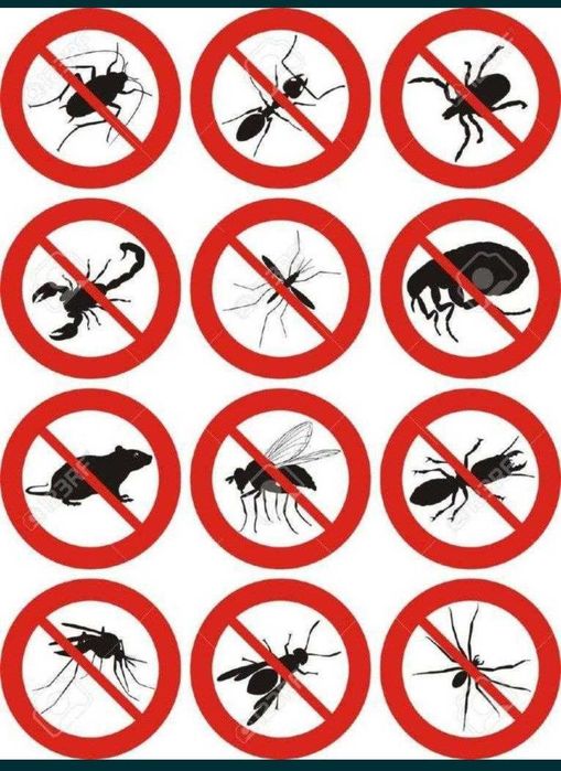 Бустонлик ва дачалада оброботка килиш