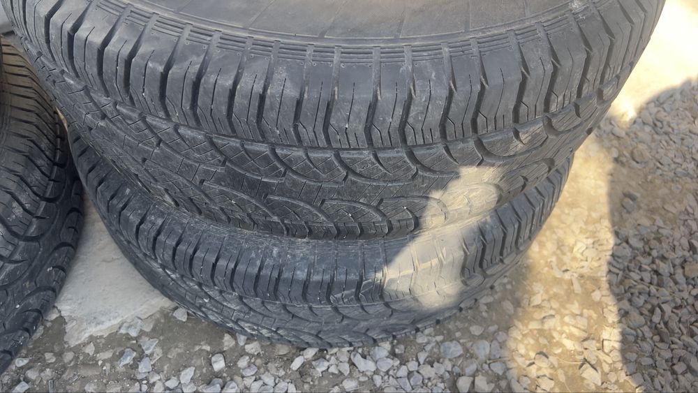 Диск с шинами лето