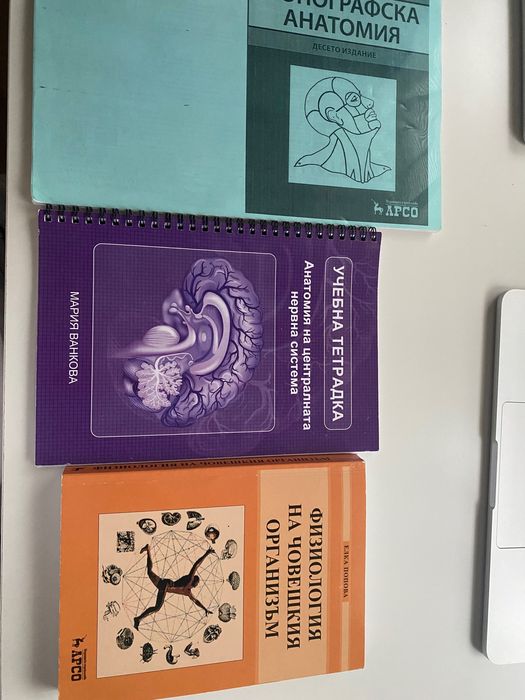 Учебник по Физиология, Топографска анатомия, Учебна тетрадка - Анатомия ЦНС