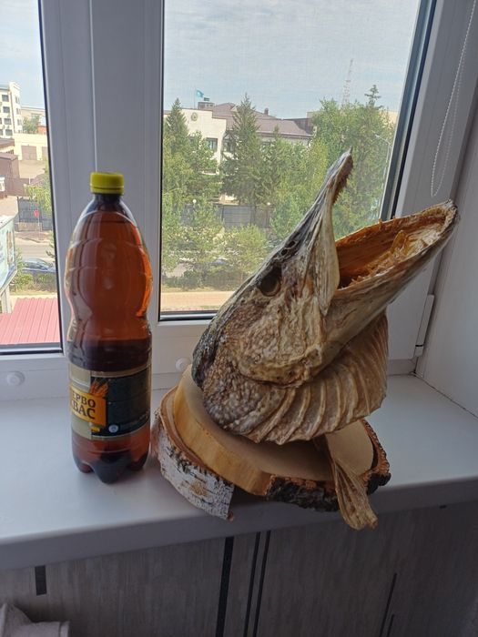 Голова щуки как чучело, сувенир, подарок, украшения бани или бара
