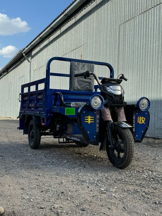 Электро Трицикл муравей грузовой самосвал бортовой скутер купить