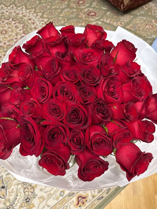51 красных роз , сегодня поступили