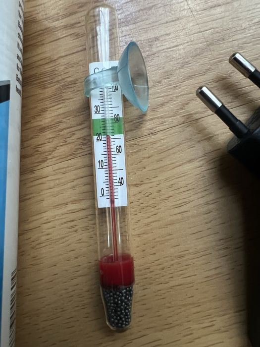 Малък аквариум за рибки