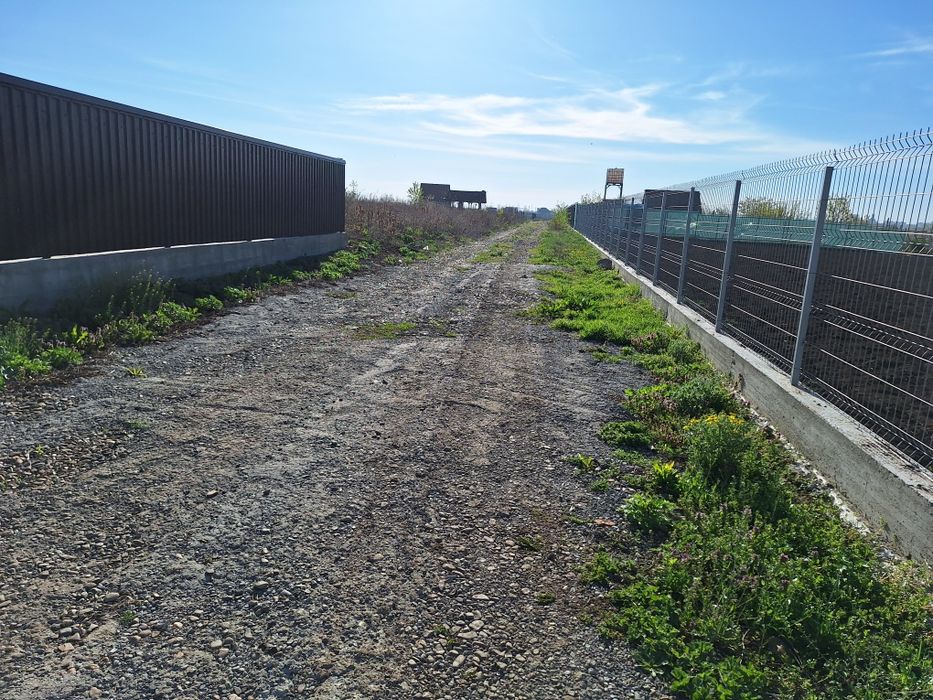 Teren 700m²  intravilan Catamaresti Deal