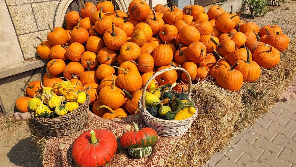 Dovleci ornamentali și de Halloween