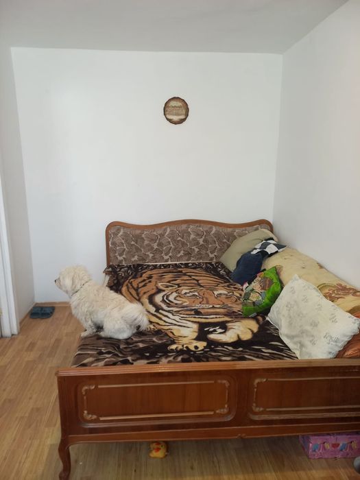 Apartament închiriere