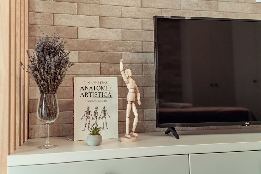 Cazare Regim Hotelier Iasi - Apartamente si Garsoniere de Lux 1-2-3