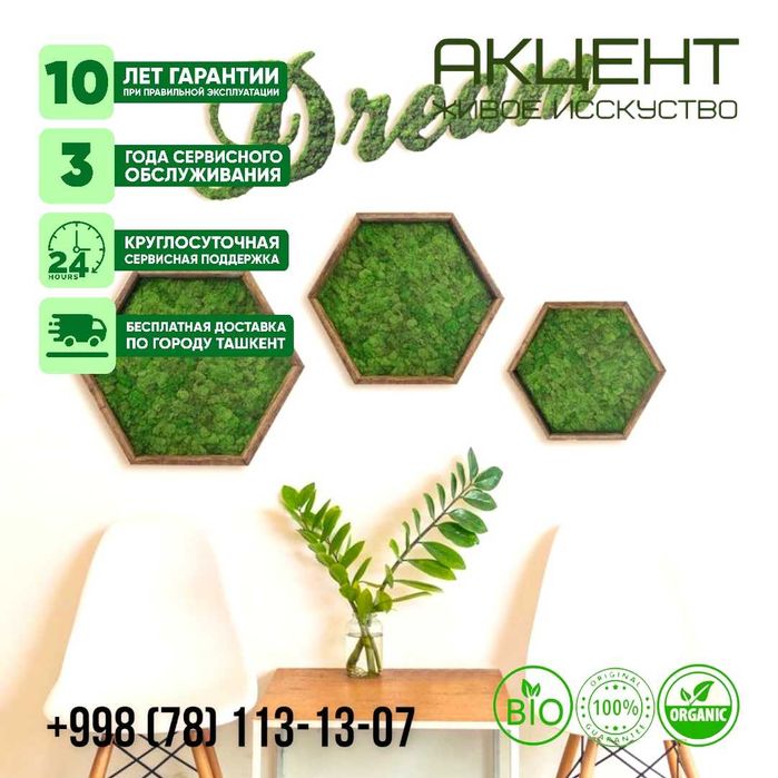 "Акцент" Живое искусство