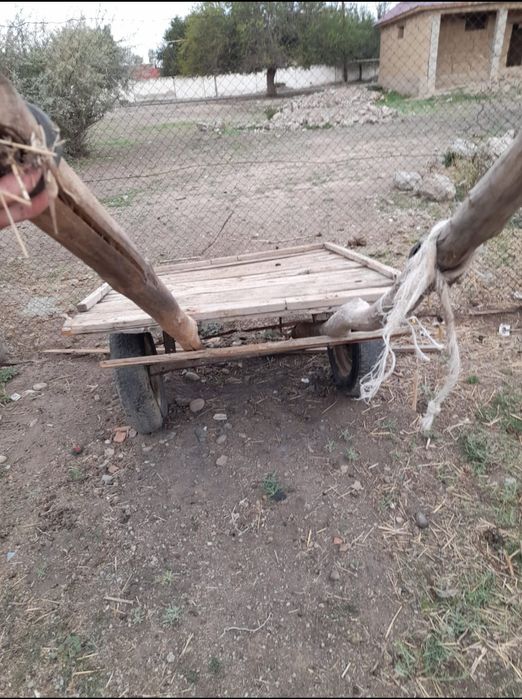 Ешек арба 22000 сырашна