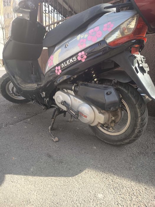 Scuter Rex nu dețin acte