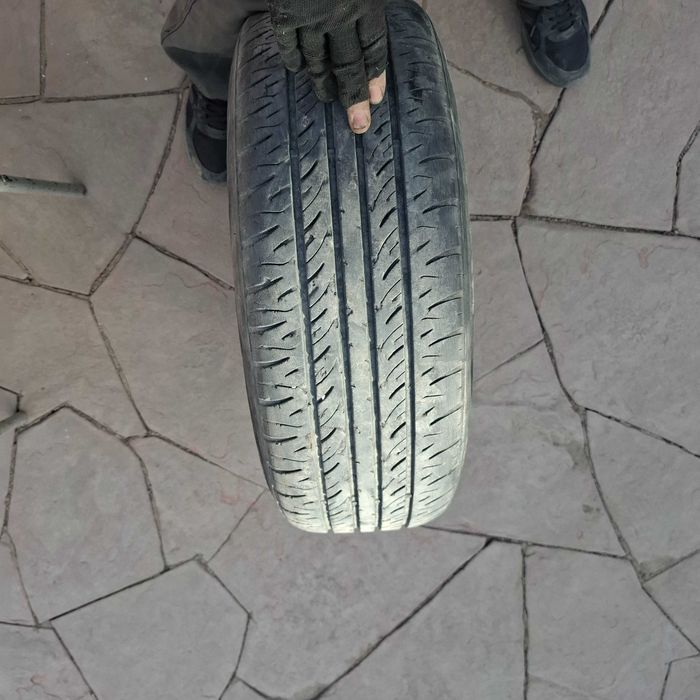 Балон летний.            .