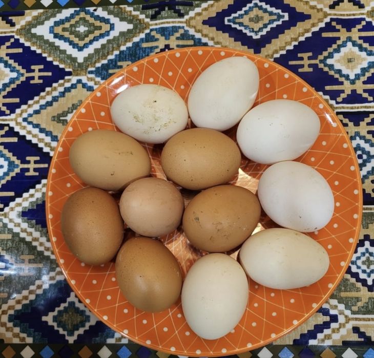 яица свежие домашние