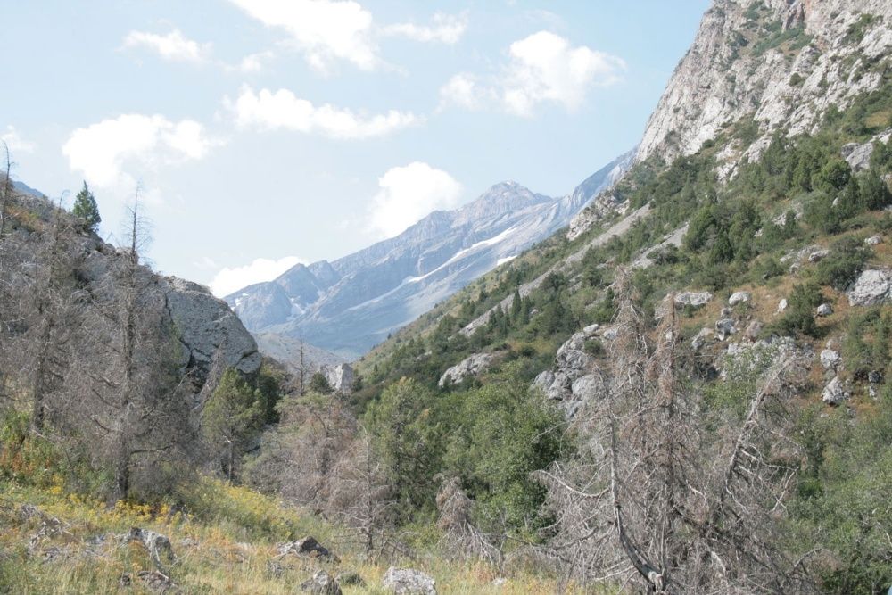 Фотоаппарат Canon EOS 400D БЕЗ ОБЪЕКТИВА